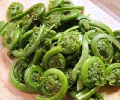 Salmon and Fiddlehead Stir-Fry